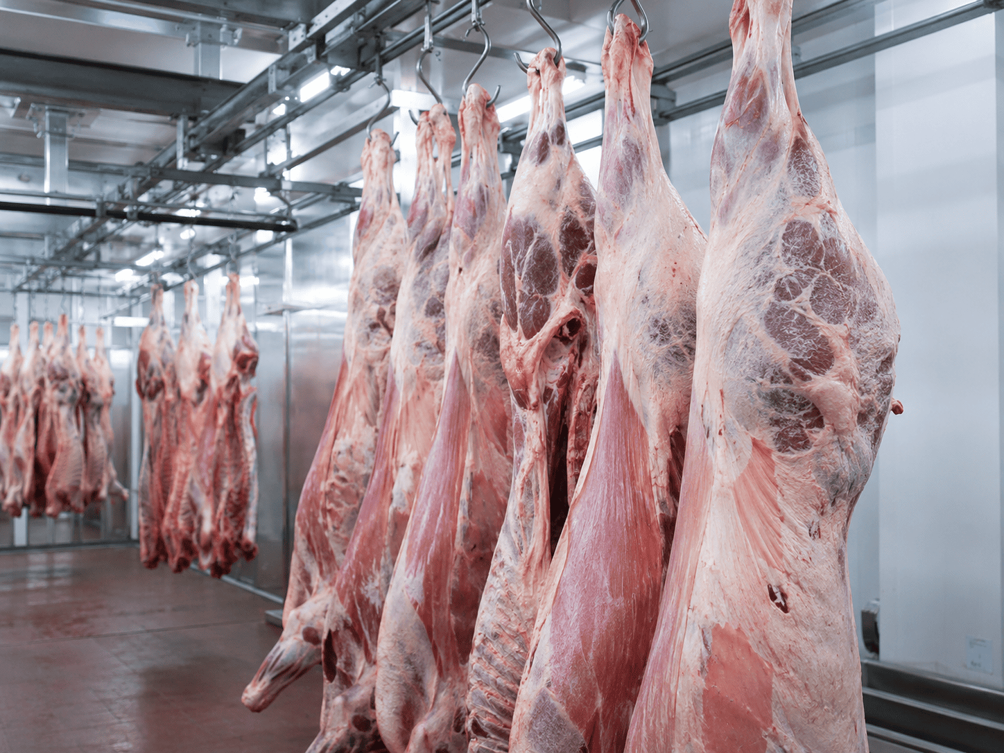 whole carcasses